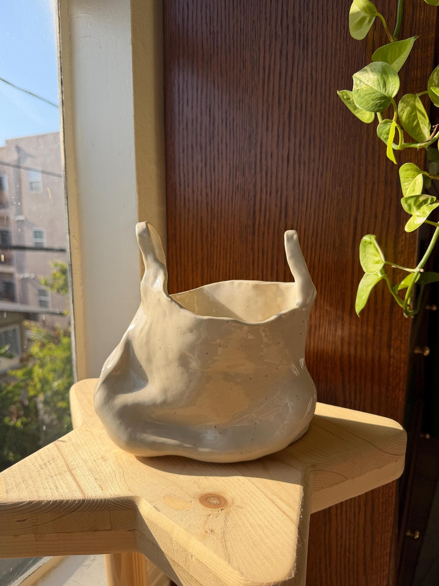 ⊹₊⟡⋆ plastic bag shaped flower vase/bowl/planter⊹₊⟡⋆
