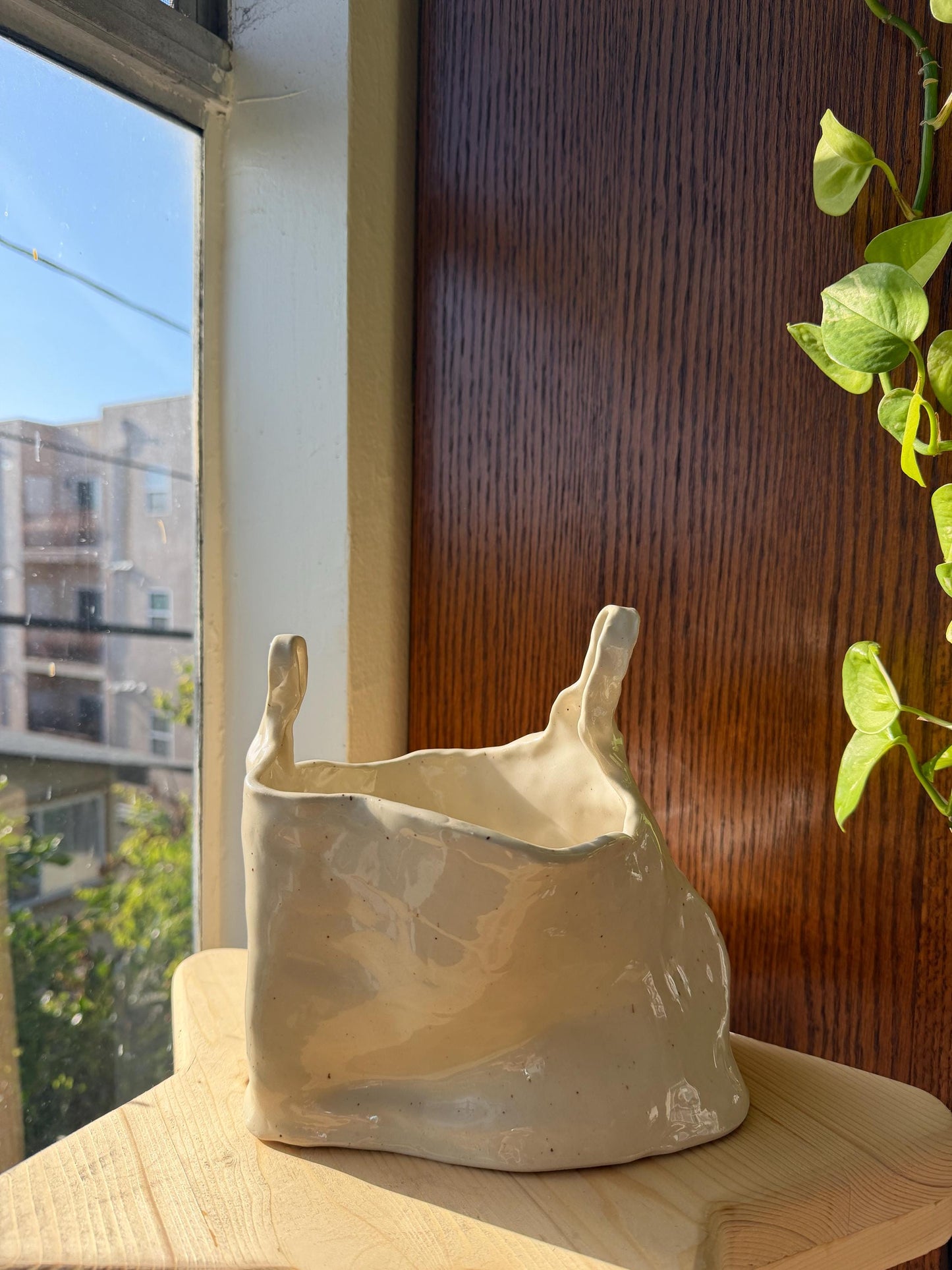 ⊹₊⟡⋆ plastic bag shaped flower vase/bowl/planter⊹₊⟡⋆