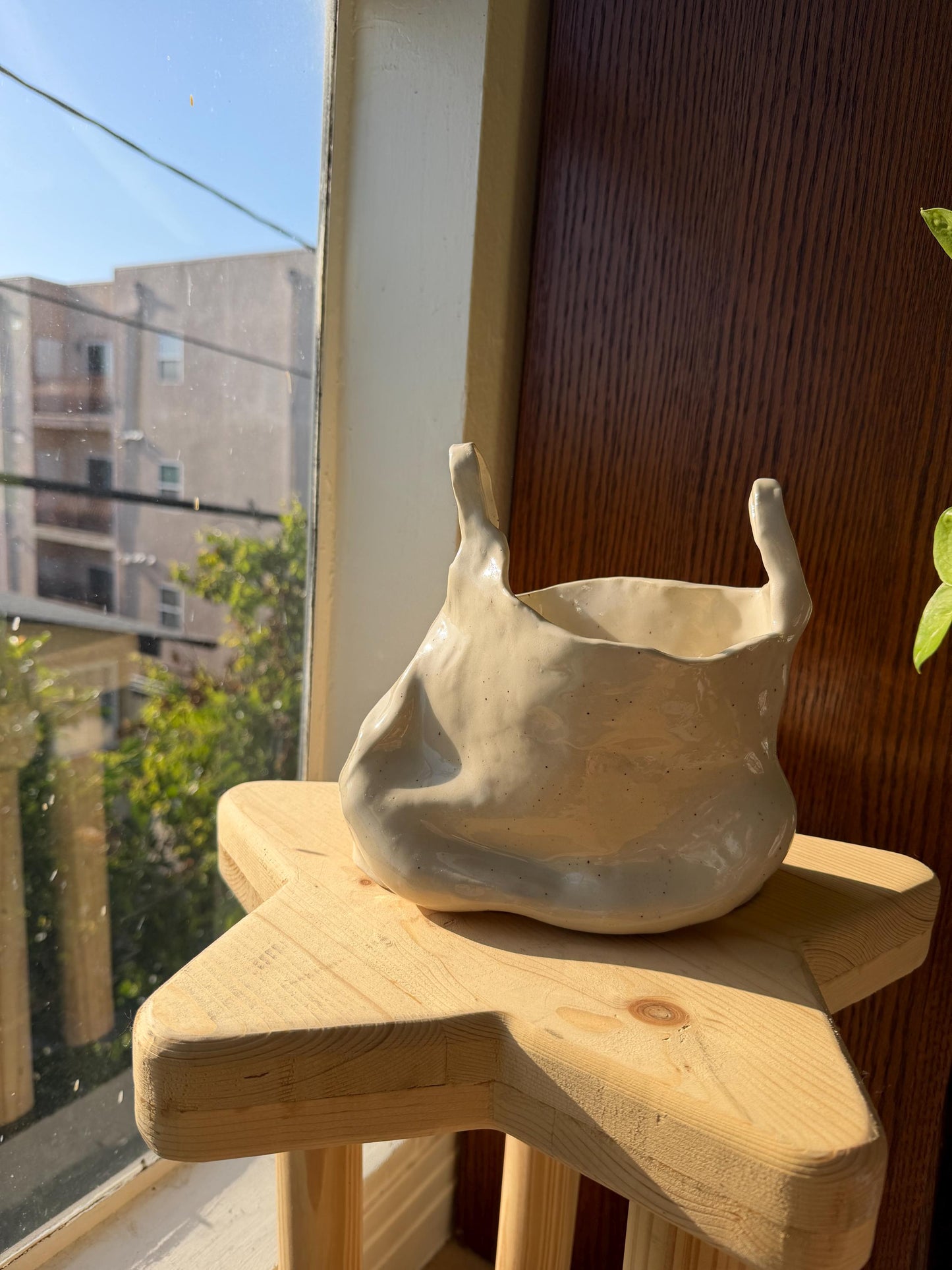⊹₊⟡⋆ plastic bag shaped flower vase/bowl/planter⊹₊⟡⋆