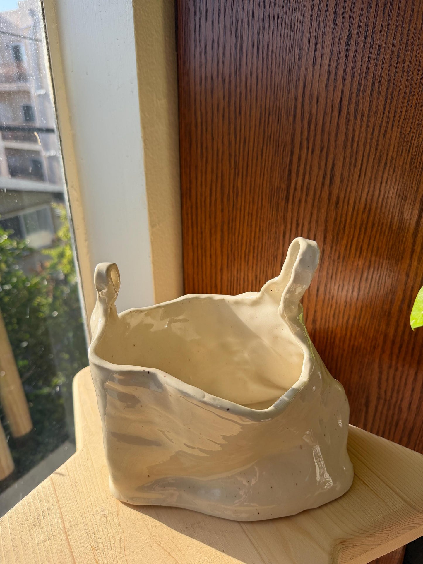 ⊹₊⟡⋆ plastic bag shaped flower vase/bowl/planter⊹₊⟡⋆