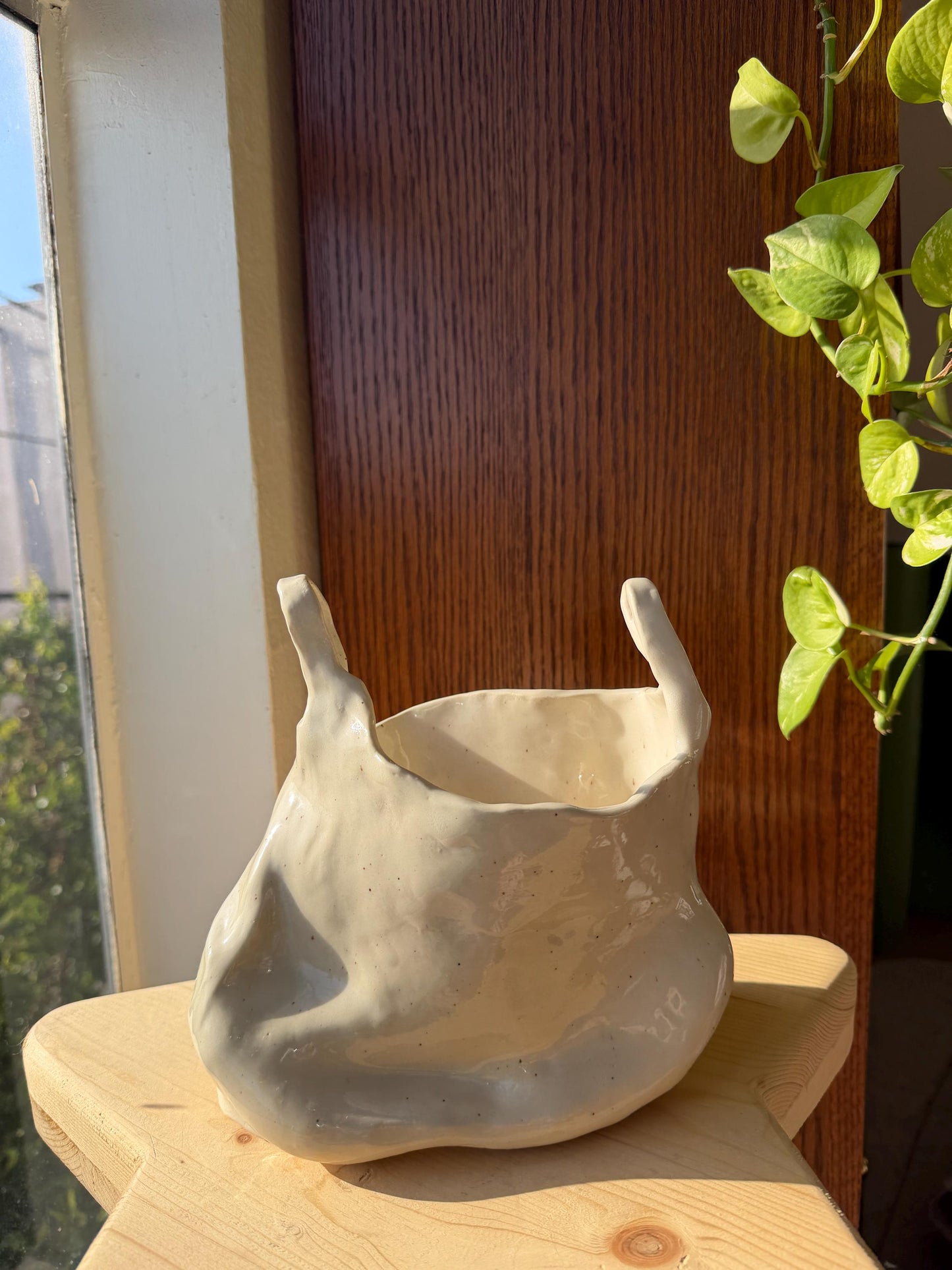⊹₊⟡⋆ plastic bag shaped flower vase/bowl/planter⊹₊⟡⋆