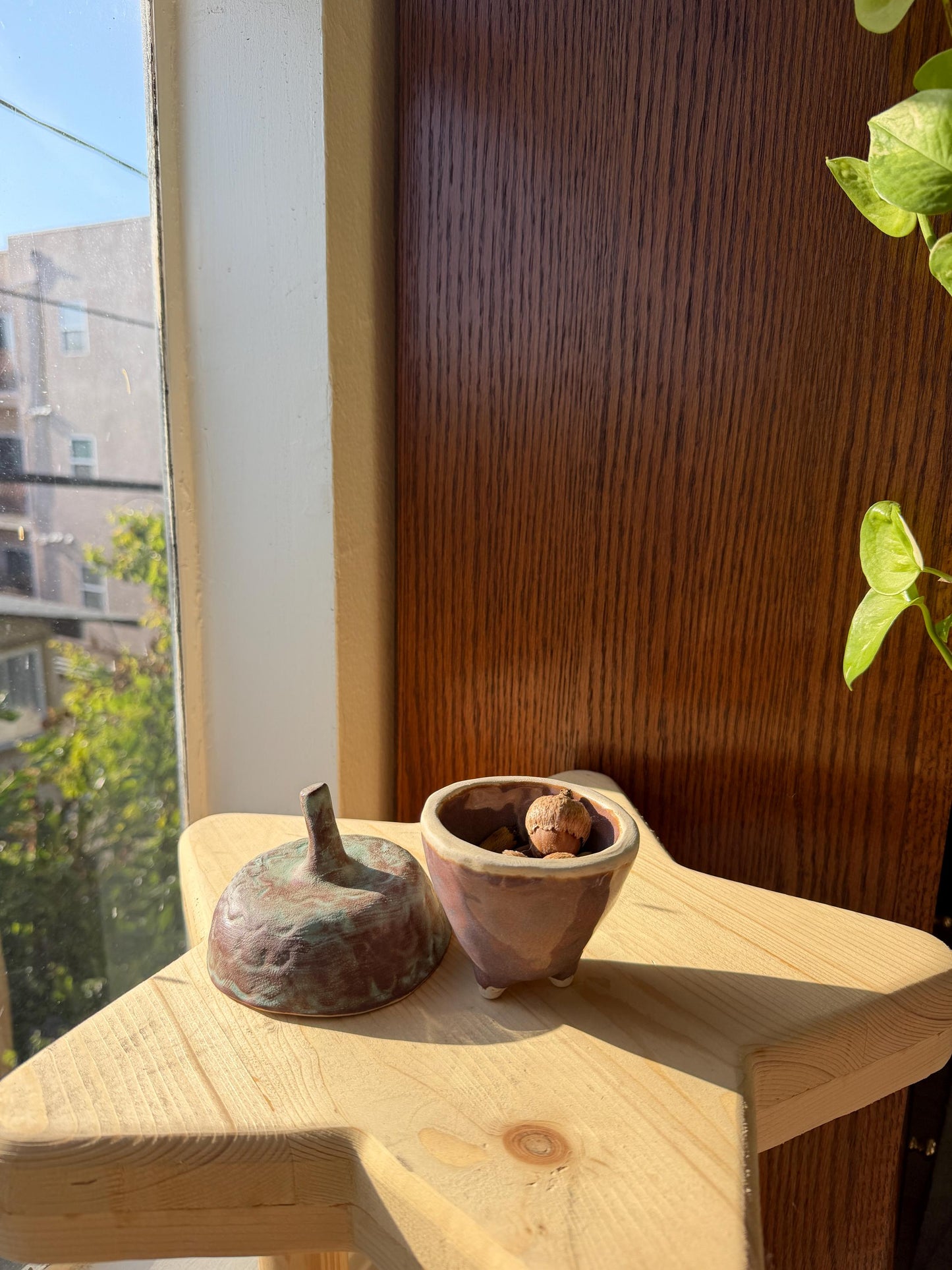 ⊹₊⟡⋆ acorn shaped ~ jar/ trinket dish / jewelry dish / stash jar / salt well ! ⊹₊⟡⋆