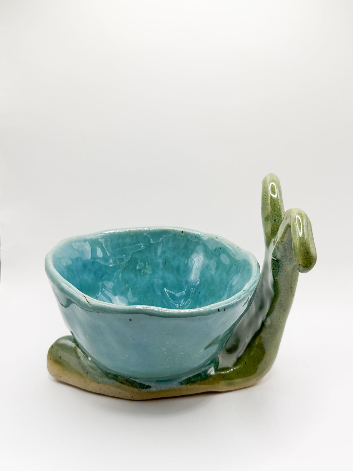 ⊹₊⟡⋆ snail trinket dish ~ catch all bowl ⊹₊⟡⋆