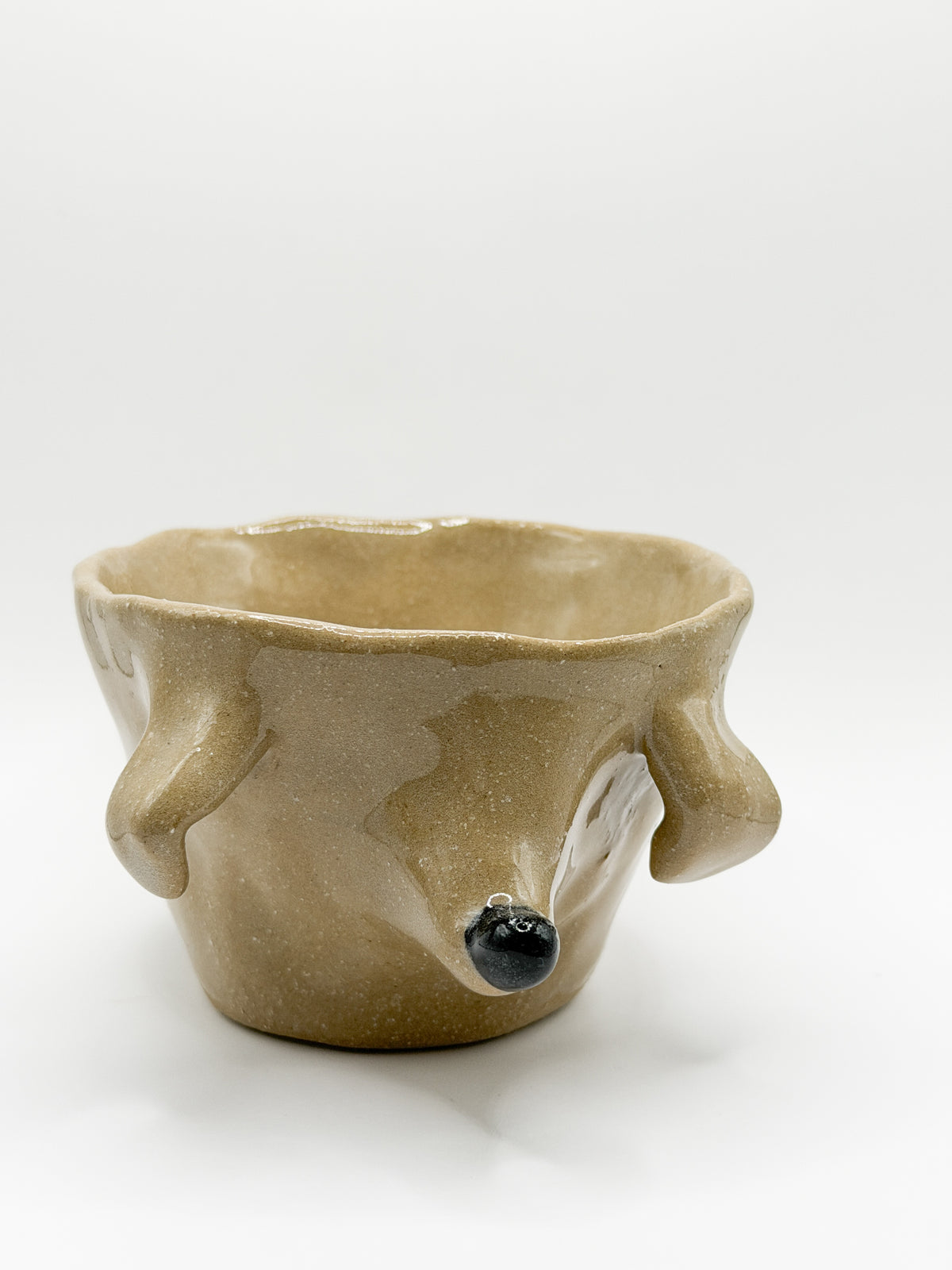 ⊹₊⟡⋆ poodle cup ⊹₊⟡⋆