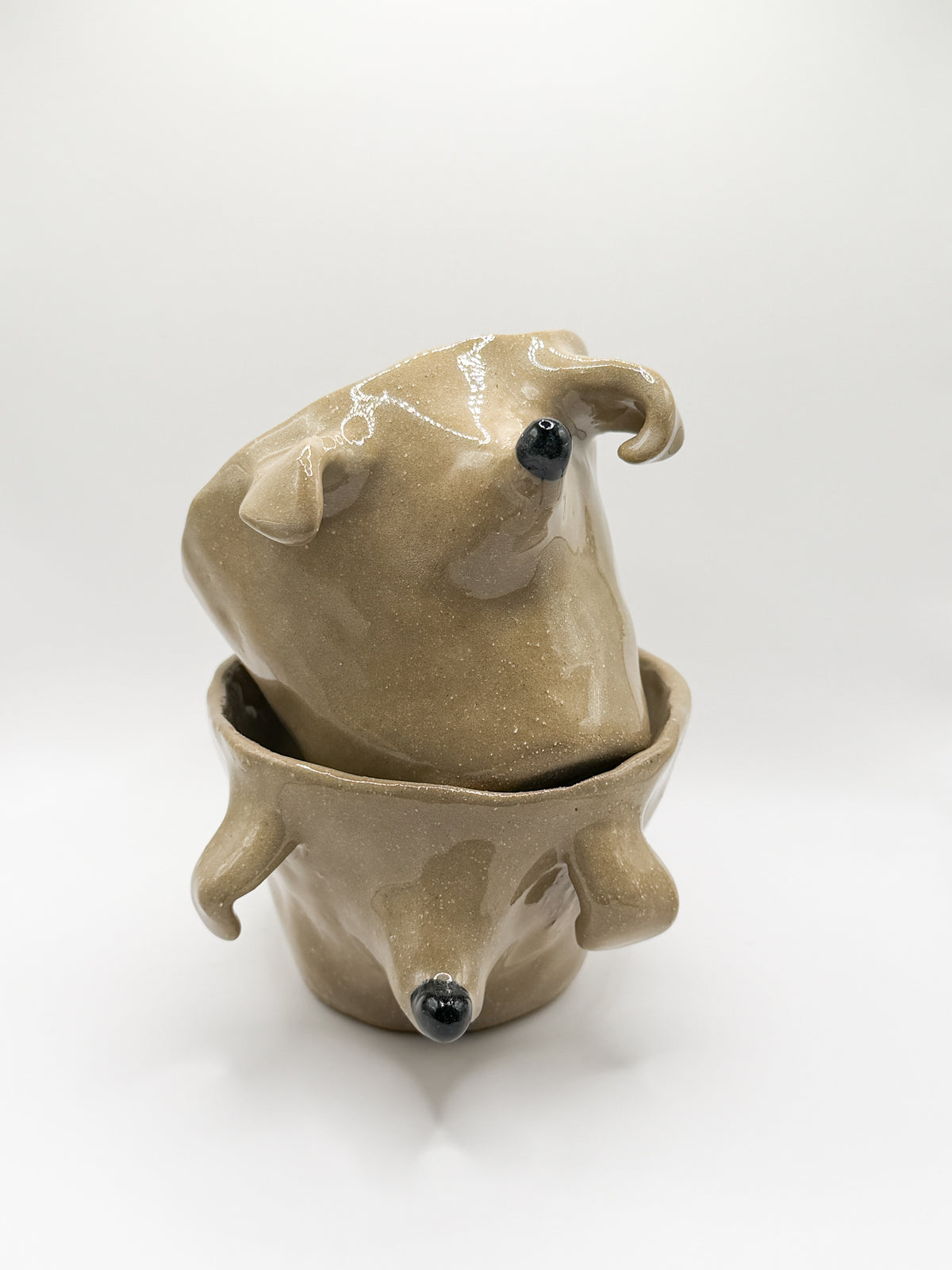 ⊹₊⟡⋆ poodle cup ⊹₊⟡⋆