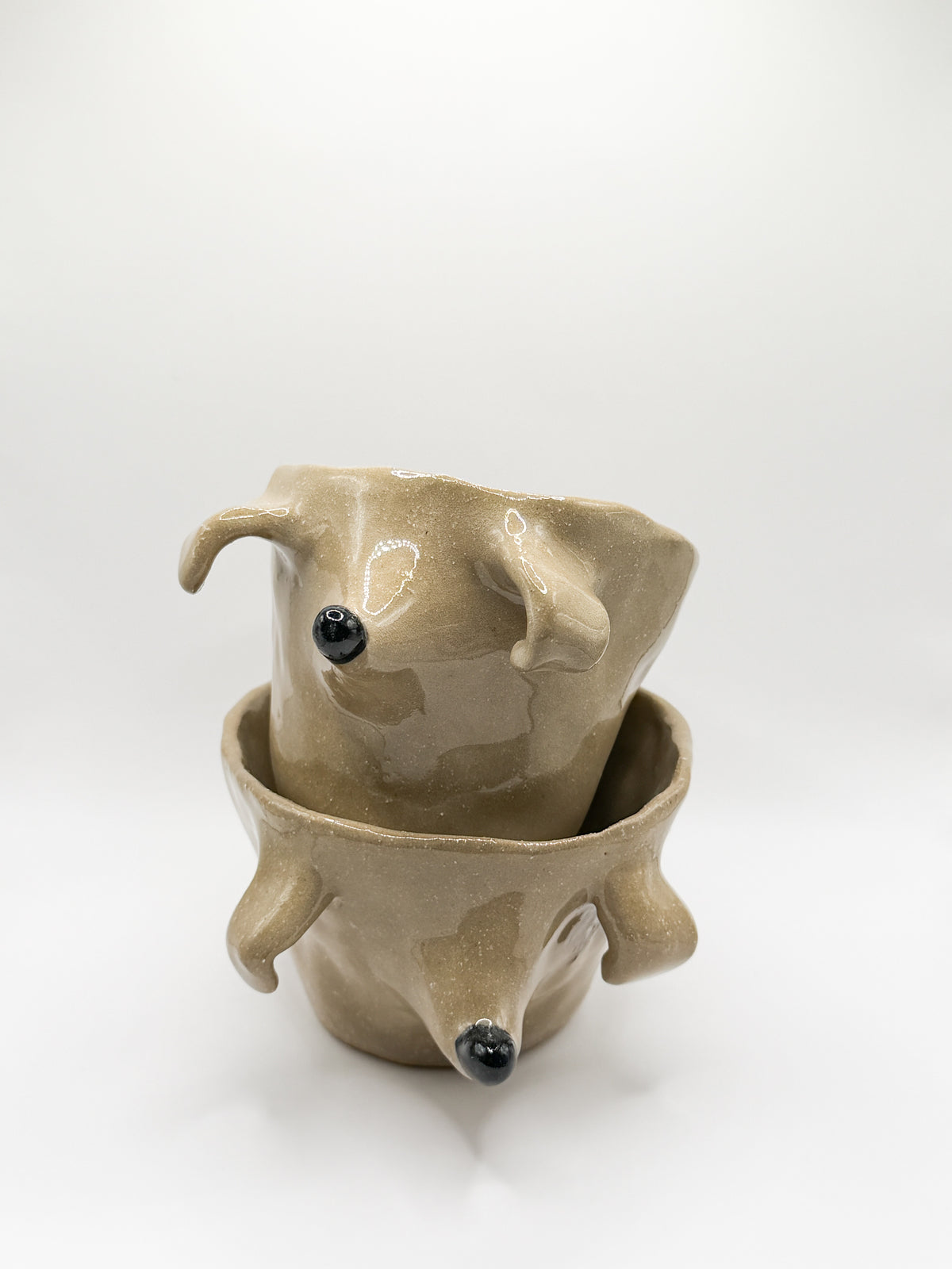 ⊹₊⟡⋆ poodle cup ⊹₊⟡⋆