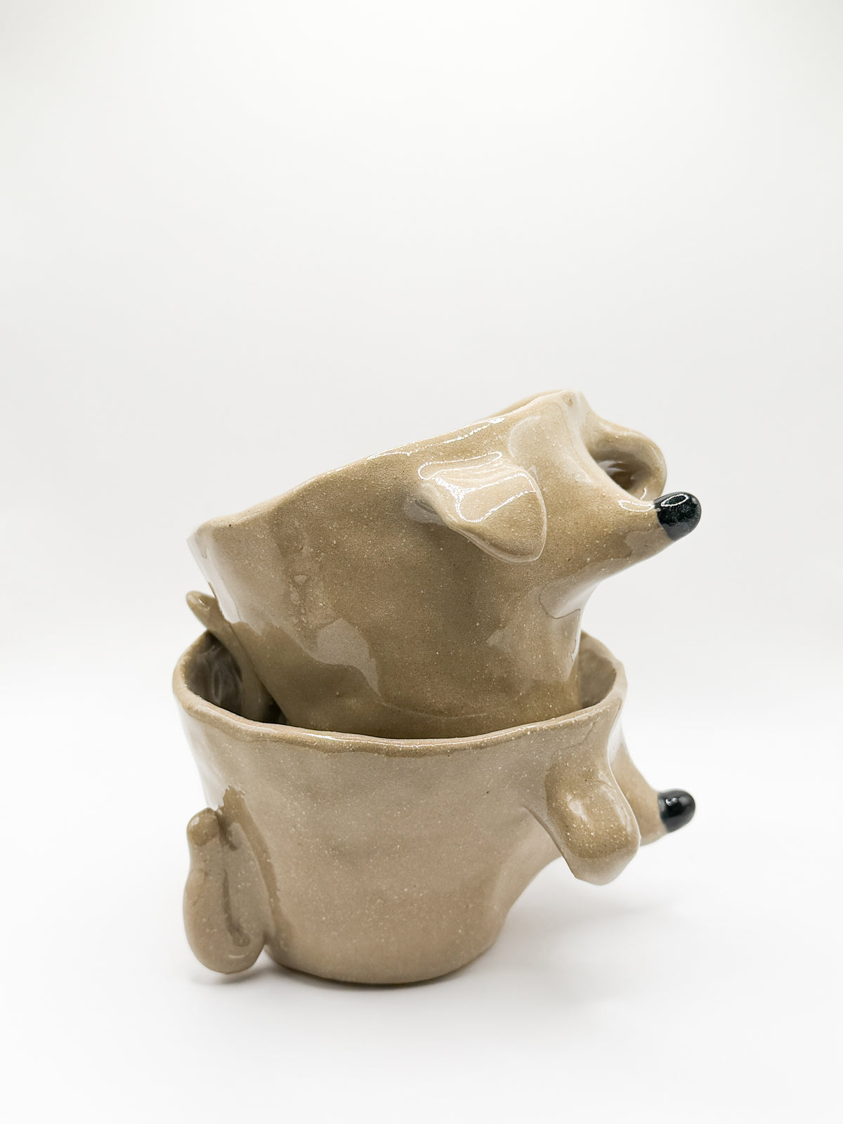 ⊹₊⟡⋆ poodle cup ⊹₊⟡⋆