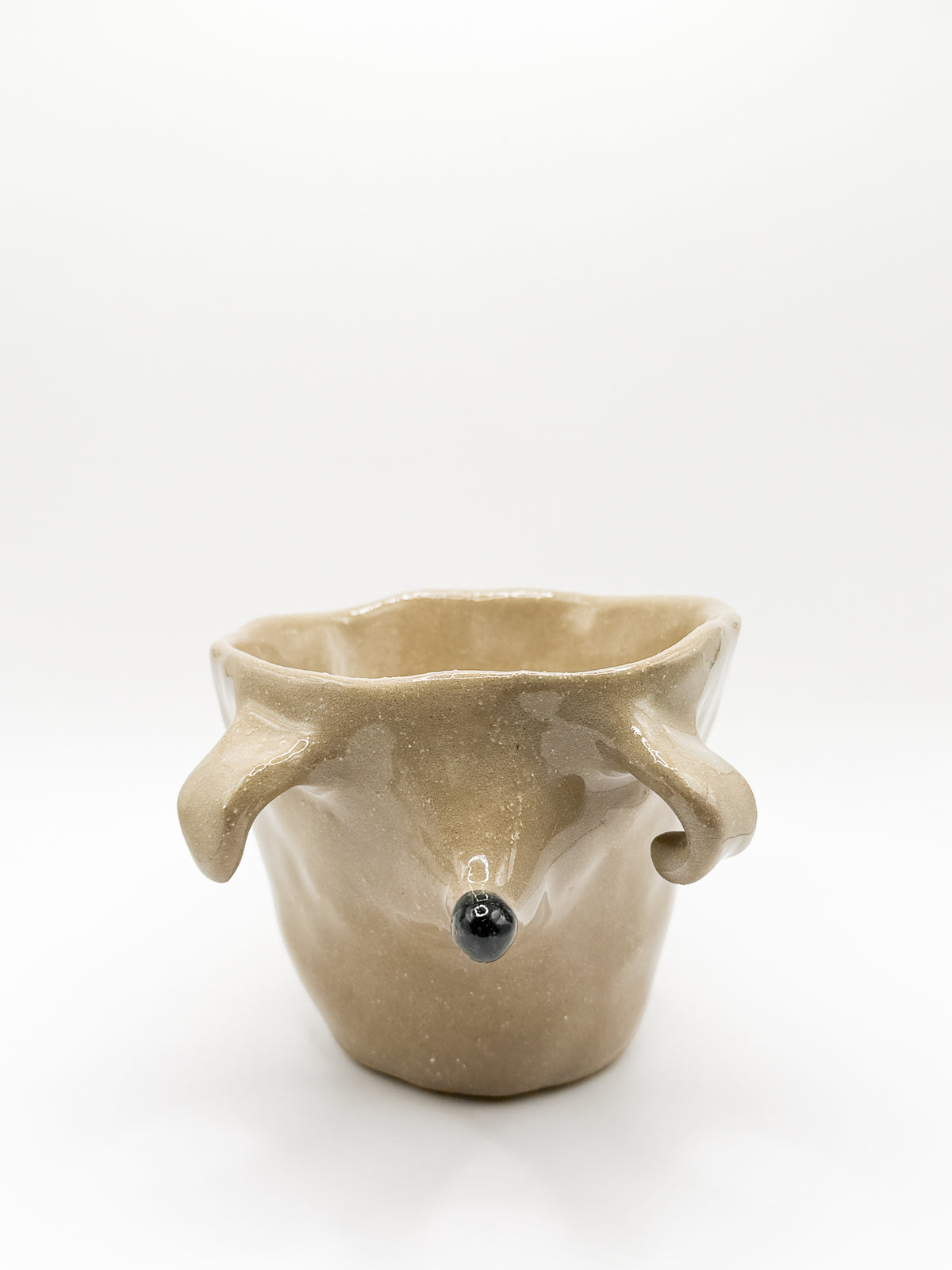 ⊹₊⟡⋆ poodle cup ⊹₊⟡⋆