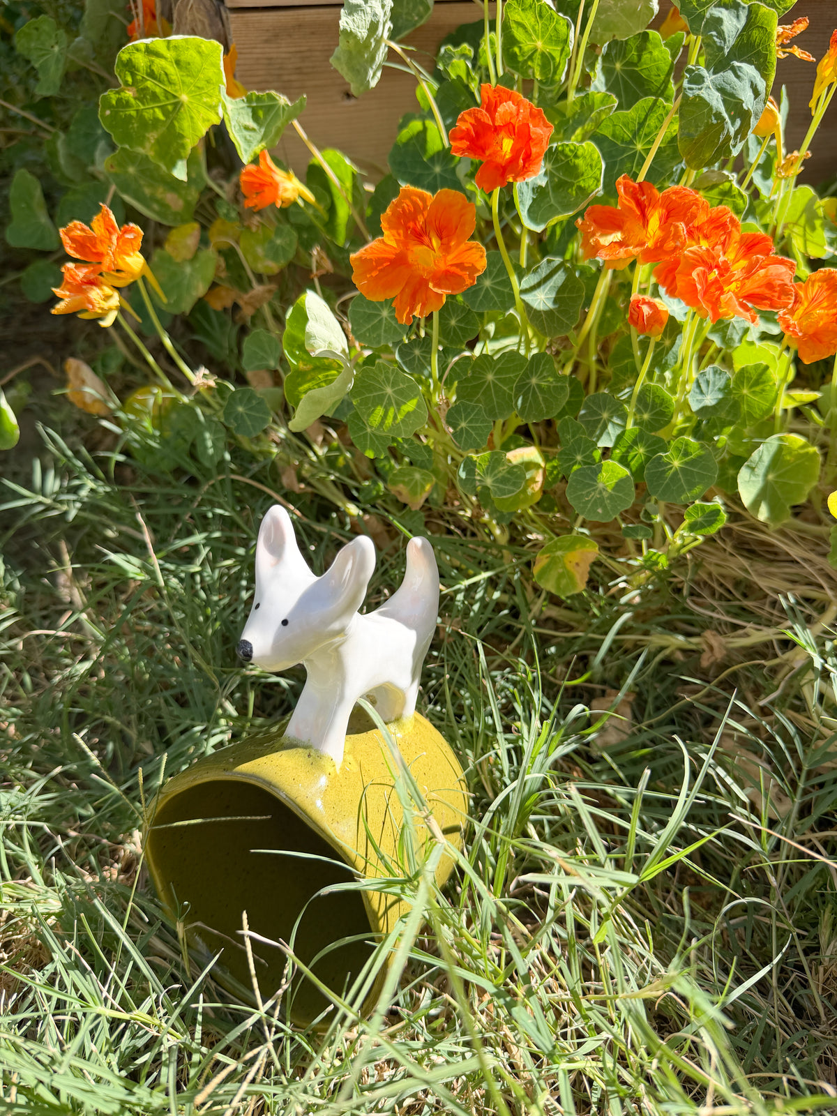 ⊹₊⟡⋆ custom puppy handle cup ⊹₊⟡⋆