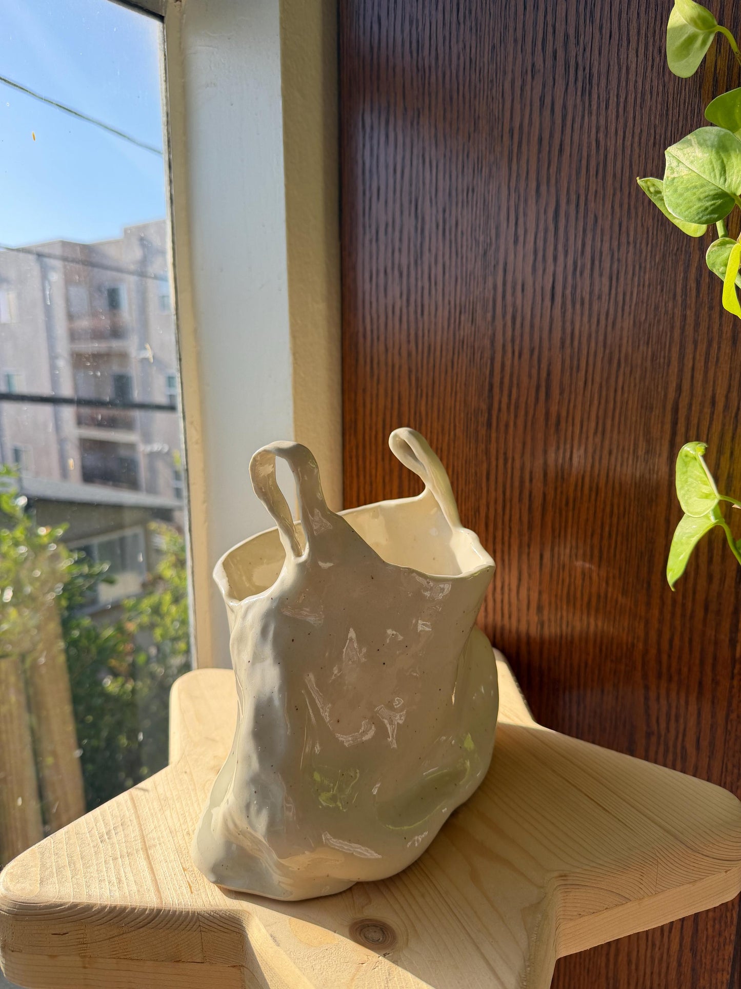 ⊹₊⟡⋆ plastic bag shaped flower vase/bowl/planter⊹₊⟡⋆