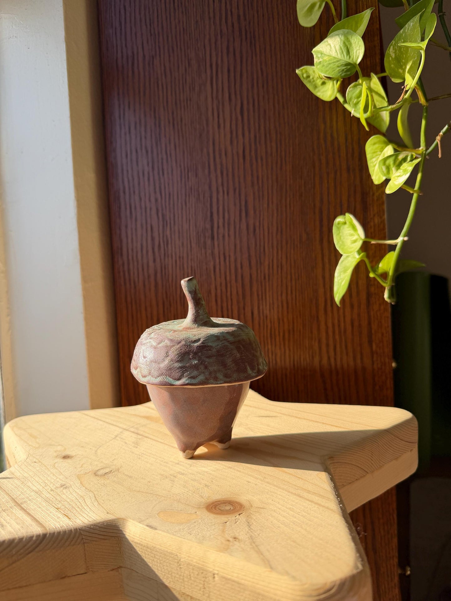 ⊹₊⟡⋆ acorn shaped ~ jar/ trinket dish / jewelry dish / stash jar / salt well ! ⊹₊⟡⋆