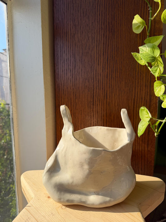 ⊹₊⟡⋆ plastic bag shaped flower vase/bowl/planter⊹₊⟡⋆